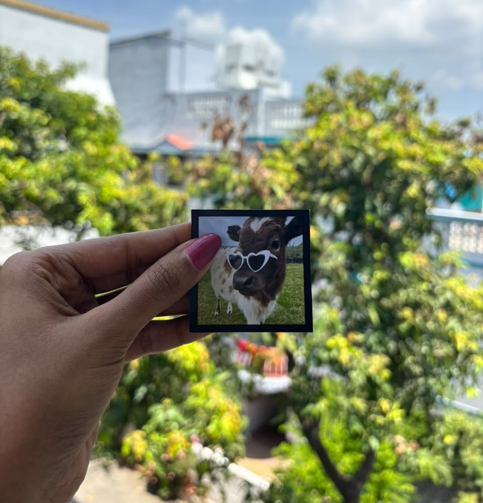 Frame Print - Square - Medium