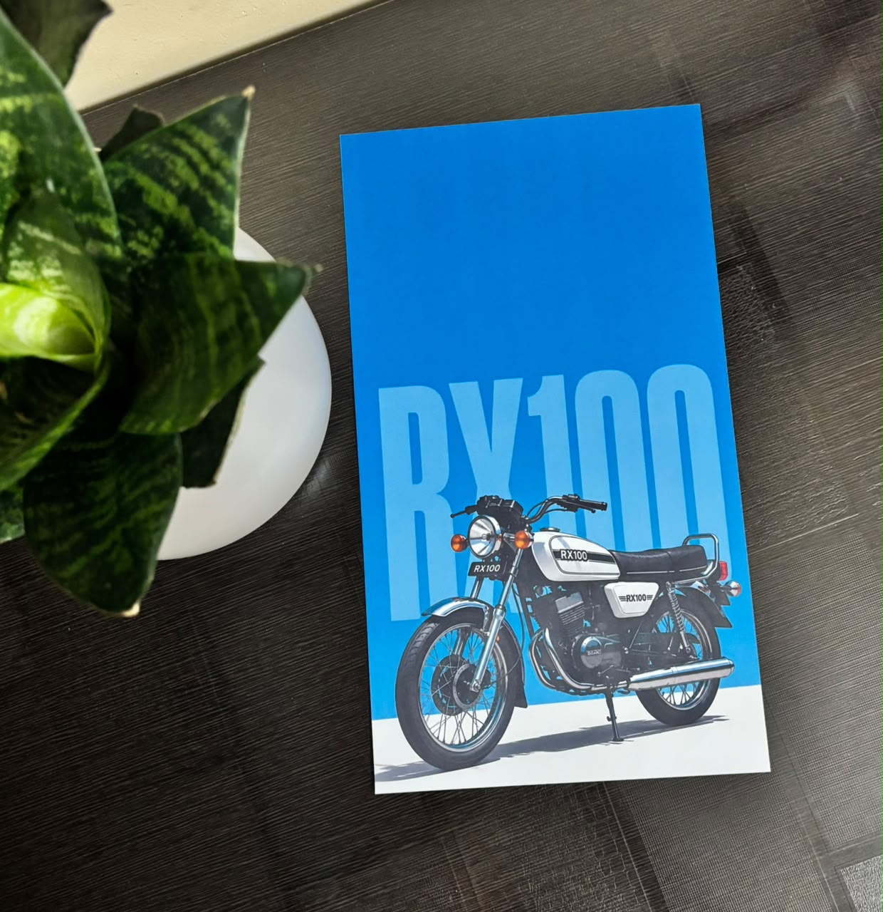 RX100