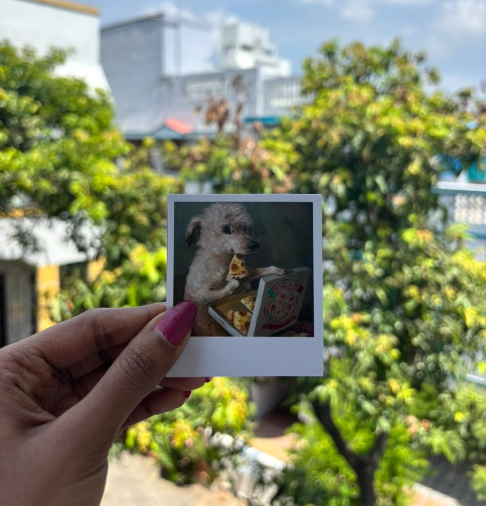 White Polaroid - Square - Large